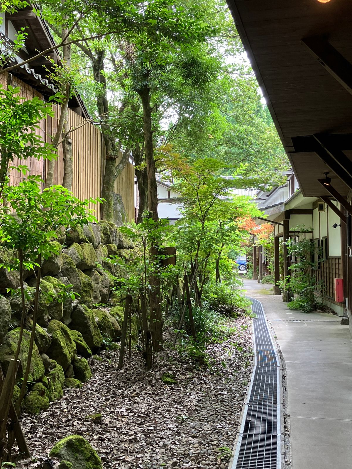 岡本とうふ店
とても有名なお店らしく
著名な方の写真やサインが沢山

喫茶...