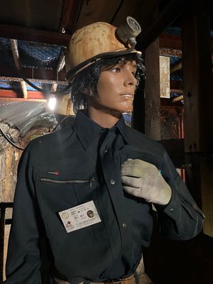 鯛生金山
坑道の入り口に近づくだけで、ひんやりとした空気が。夏でも上着を羽...