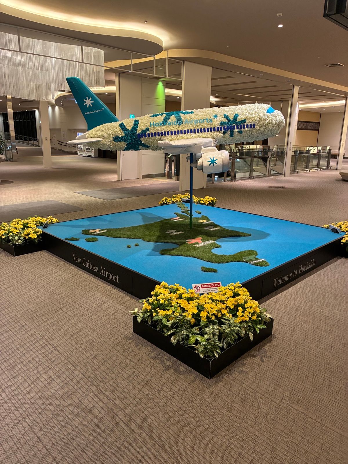 １５年振りの北海道！楽しむぞー💚