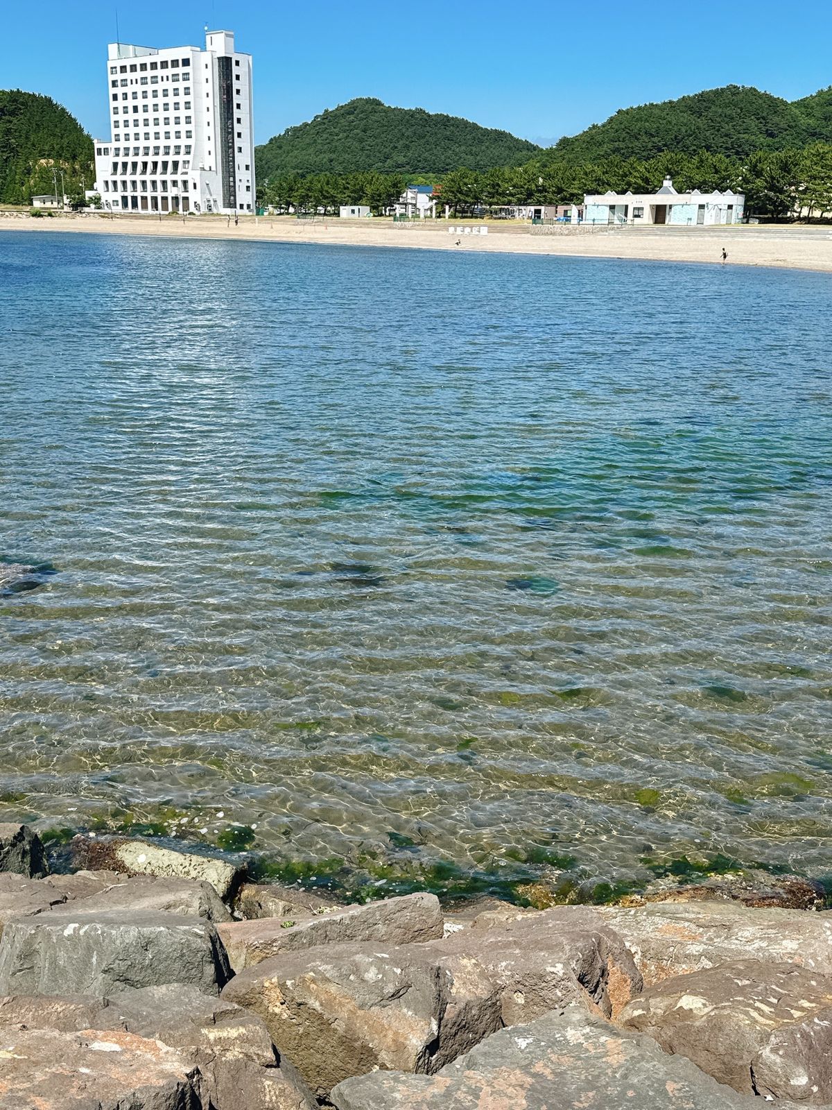 浅虫温泉
八戸〜浅虫温泉の電車で爆睡

今回の目的の一部達成
ꕥ温泉に入る...