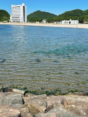 浅虫温泉
八戸〜浅虫温泉の電車で爆睡

今回の目的の一部達成
ꕥ温泉に入る...