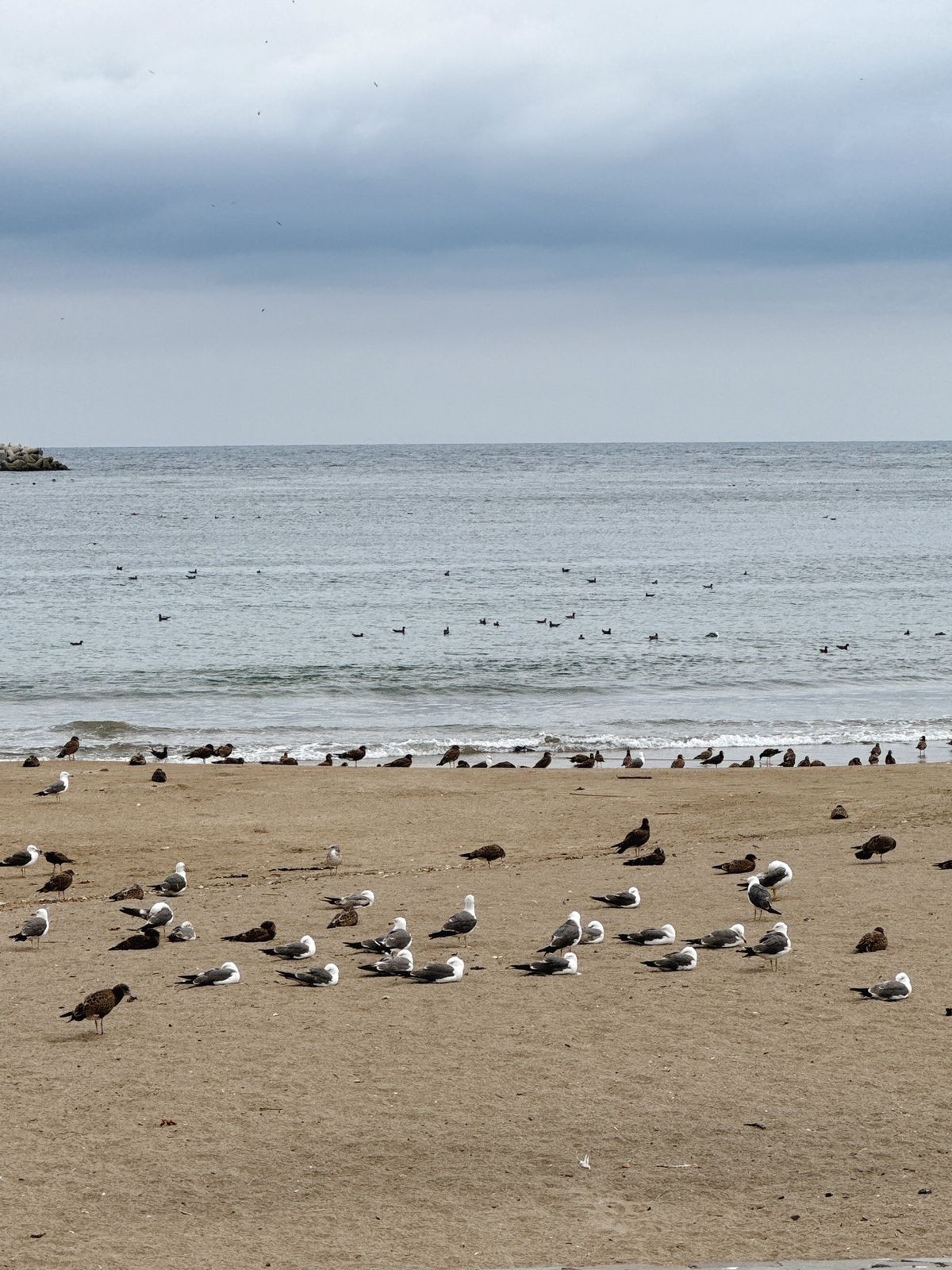蕪嶋神社②
これぞ非日常

