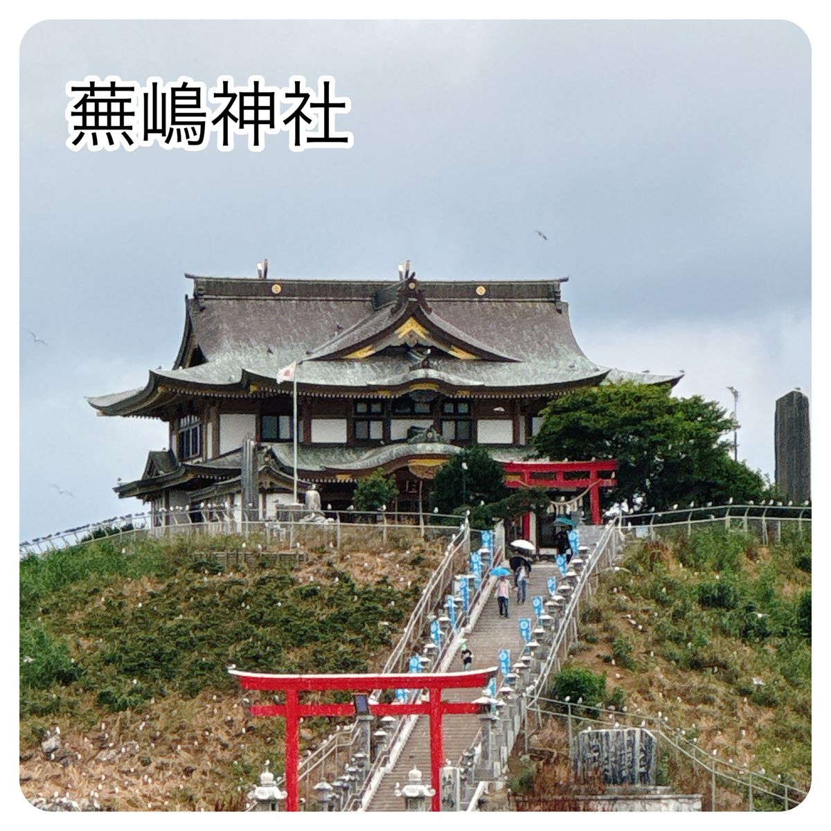 蕪嶋神社

みなと食堂の後は蕪嶋神社へ。
鮫駅から徒歩15分位。
ケチって...