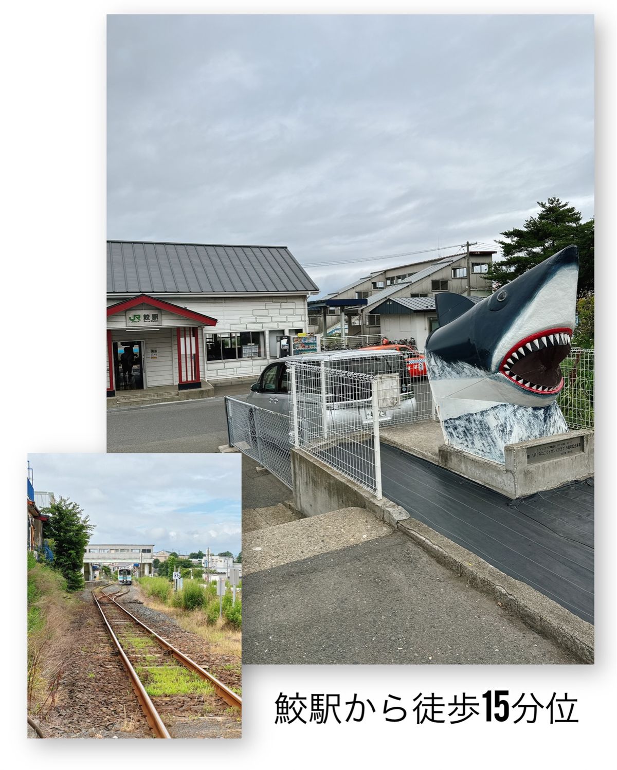 蕪嶋神社

みなと食堂の後は蕪嶋神社へ。
鮫駅から徒歩15分位。
ケチって...