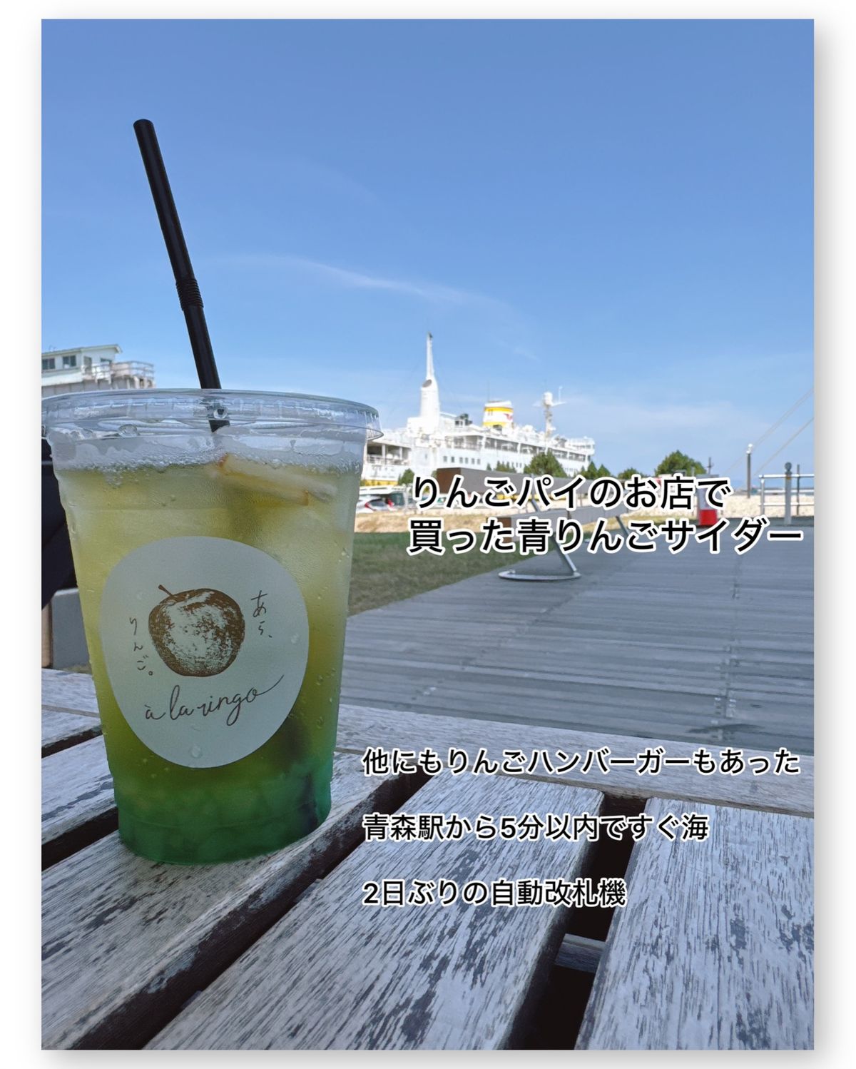 青森駅

下北から青森駅まで約２時間。
２日ぶりに人多い！

７月入ってる...