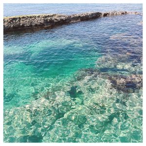 仏ヶ浦①

階段を登る自信はあるんだけど熊がこわくて
もし熊にやられたら旦...