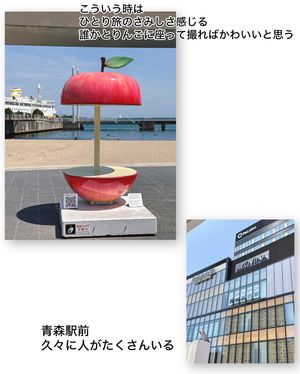 青森駅

下北から青森駅まで約２時間。
２日ぶりに人多い！

７月入ってる...