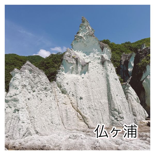 日本・青森県「青森　八戸〜下北半島」の写真：仏ヶ浦①

階段を登る自信はあるんだけど...