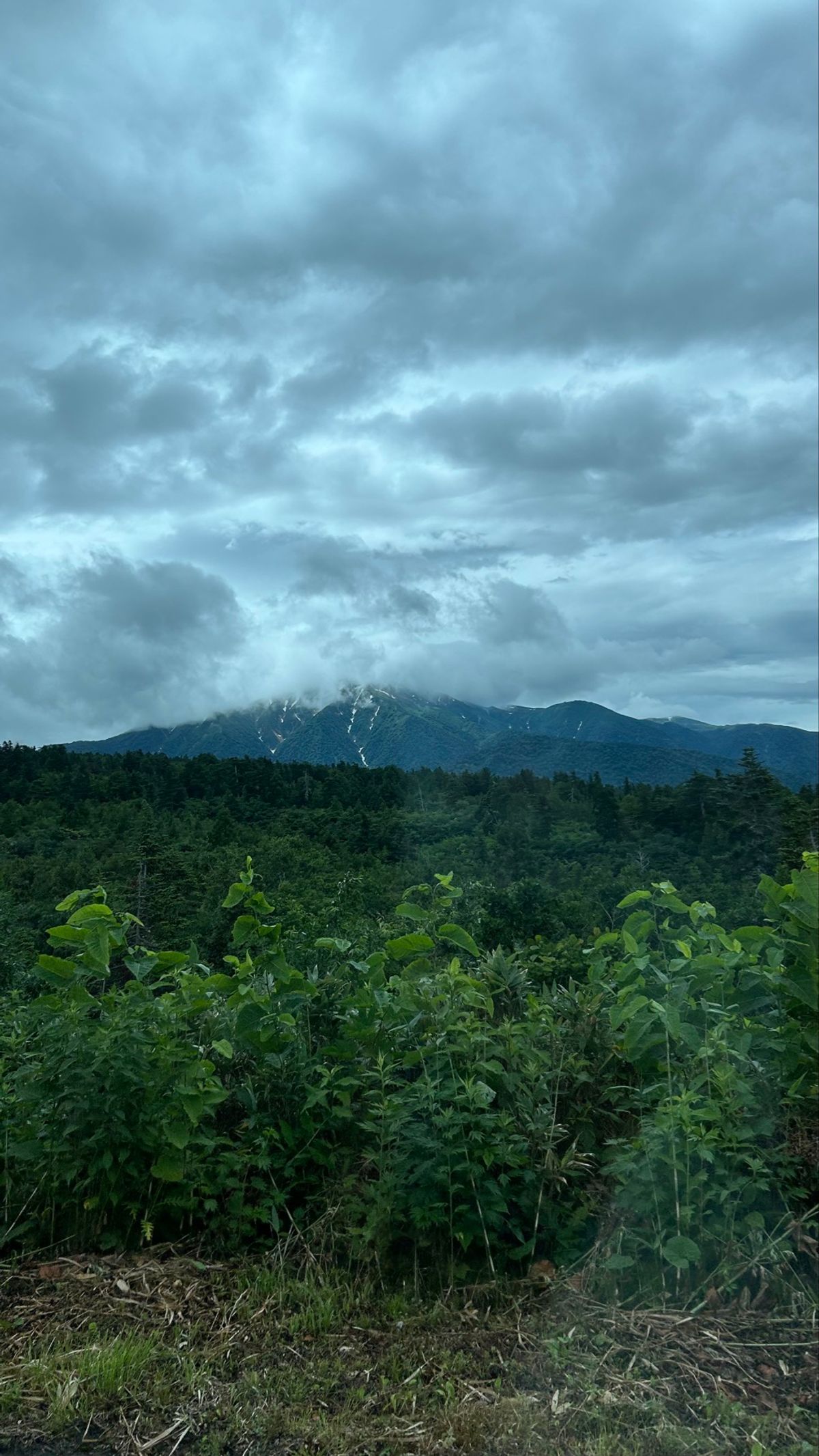 今にも雨が降りそうな天気だけど、それでも遠くまで見えたよ〜👀