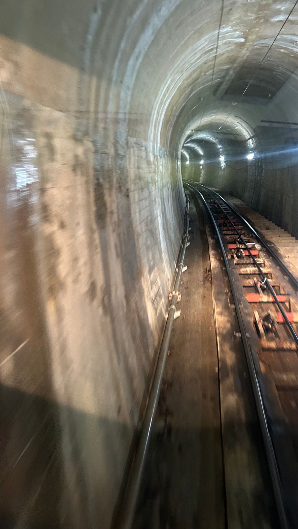 3日目🏔´-
自然をどうしても楽しみたい今年の夏！
立山黒部アルペンルート...