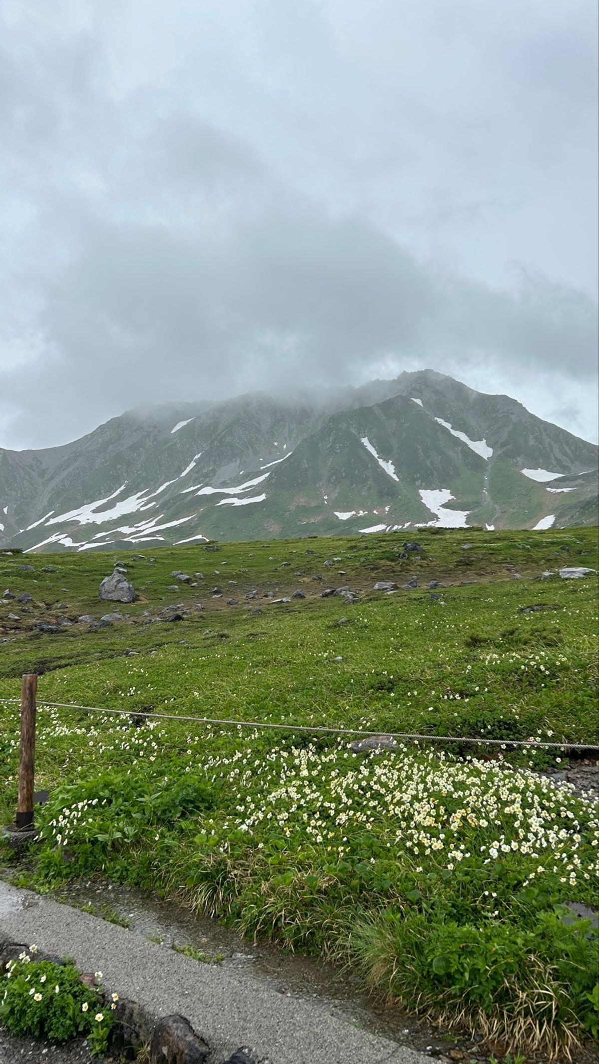 ダムで食べたカレーは甘口🍛
野菜がパリパリで、野菜チップスみたいで美味しか...