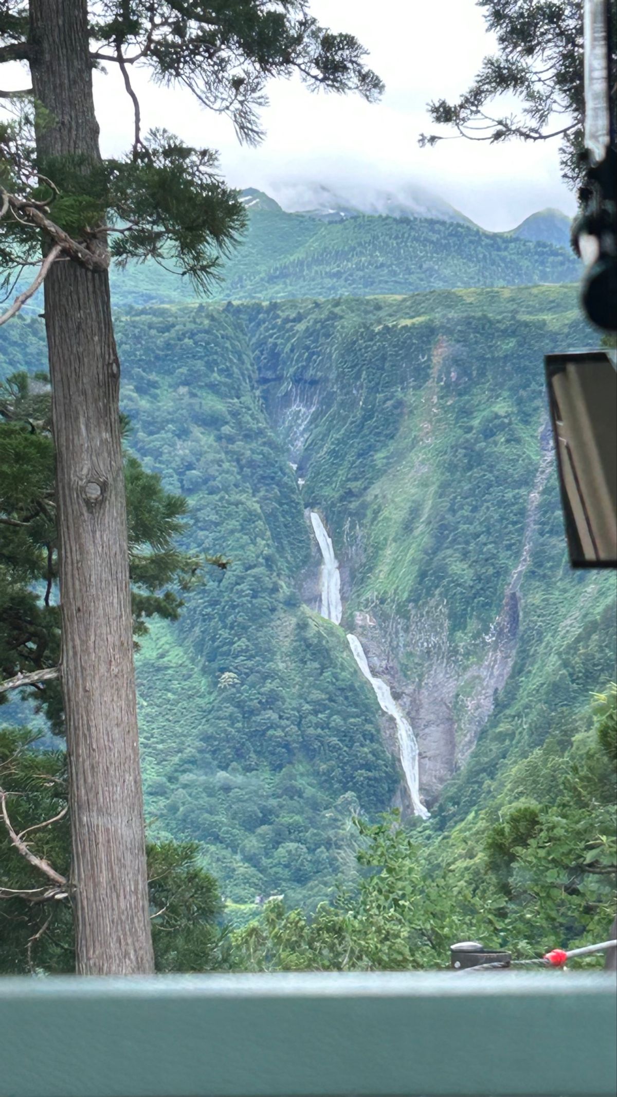 3日目🏔´-
自然をどうしても楽しみたい今年の夏！
立山黒部アルペンルート...