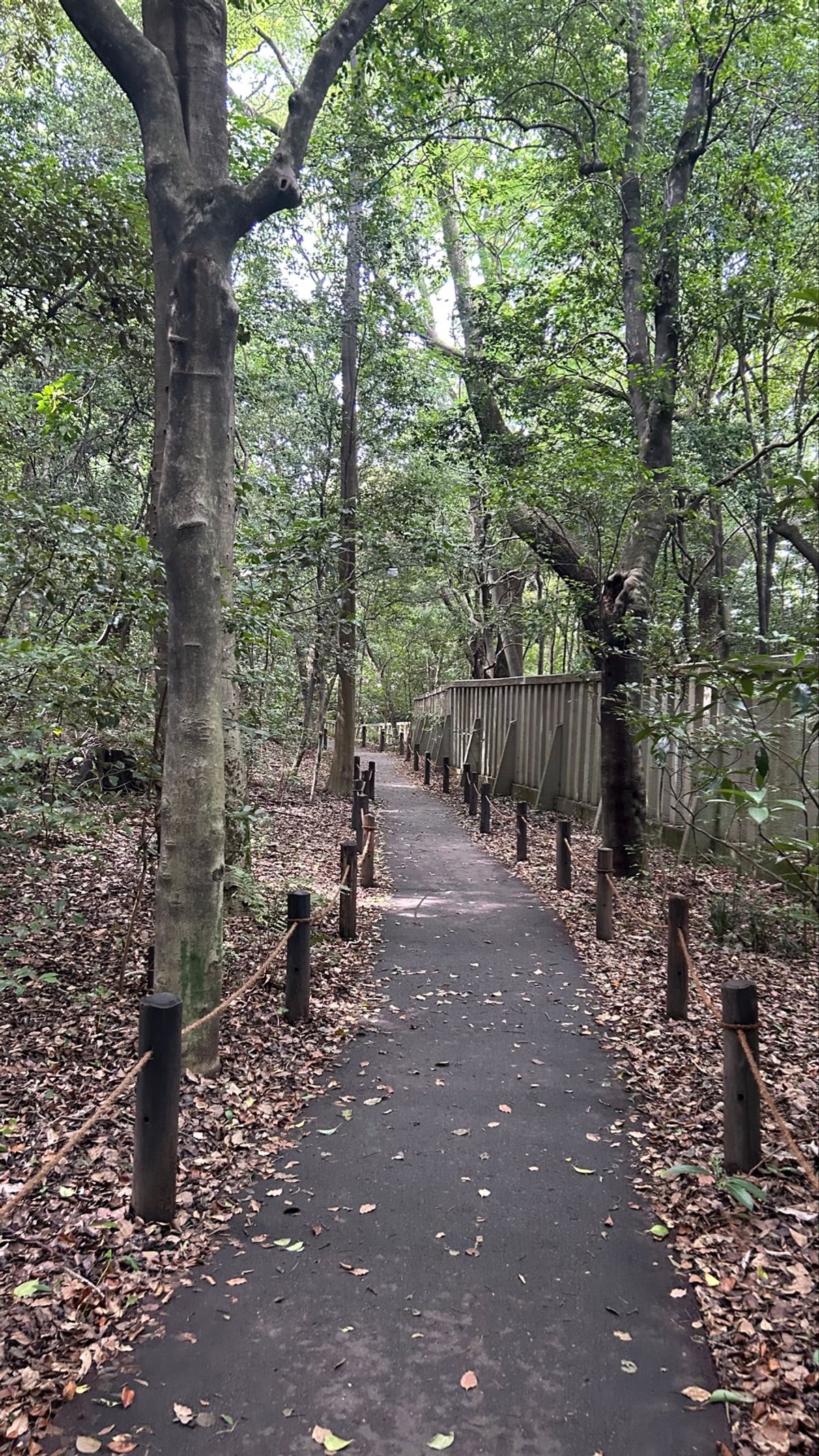 こちらも行きたかった熱田神宮⛩
旅の安全と無事をお祈りしたよ