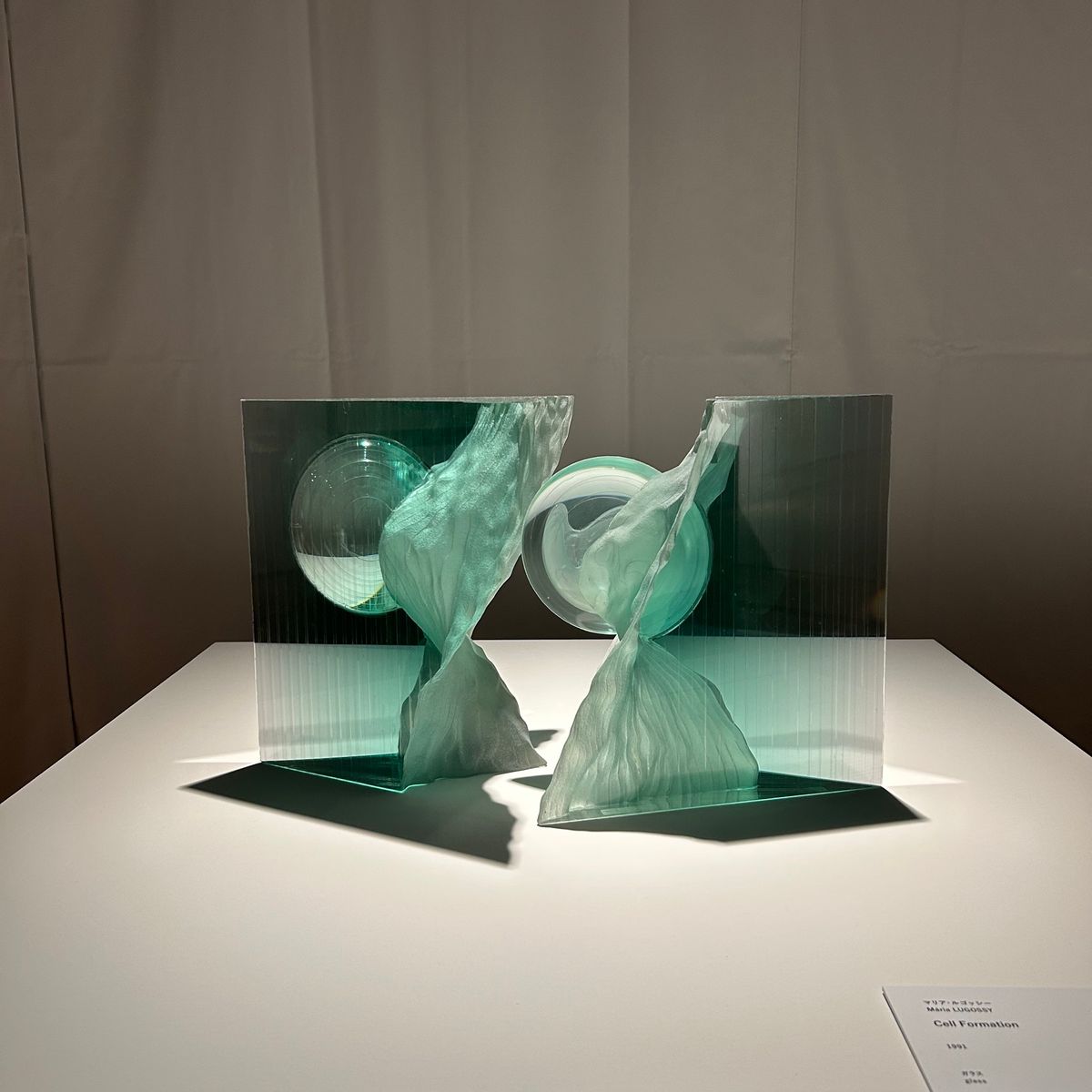 撮影禁止かSNS禁止がほとんどだったから、忘れたくない！って思った写真メモ...