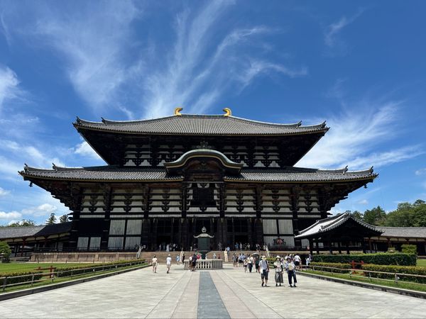 日本・大阪「大阪・奈良　2025.07」の写真