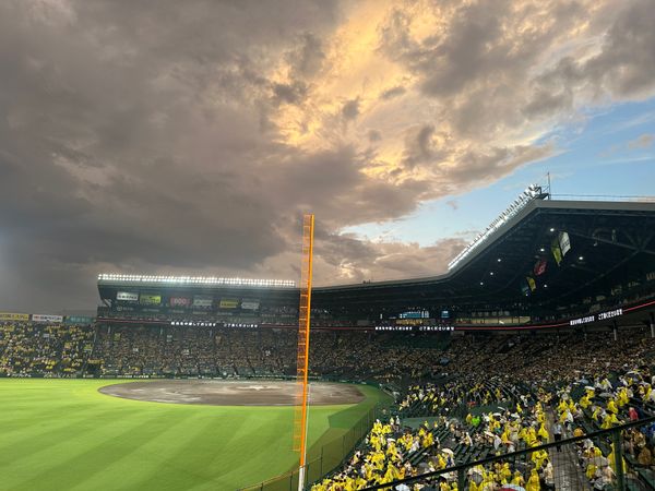 日本・大阪「大阪・奈良　2025.07」の写真