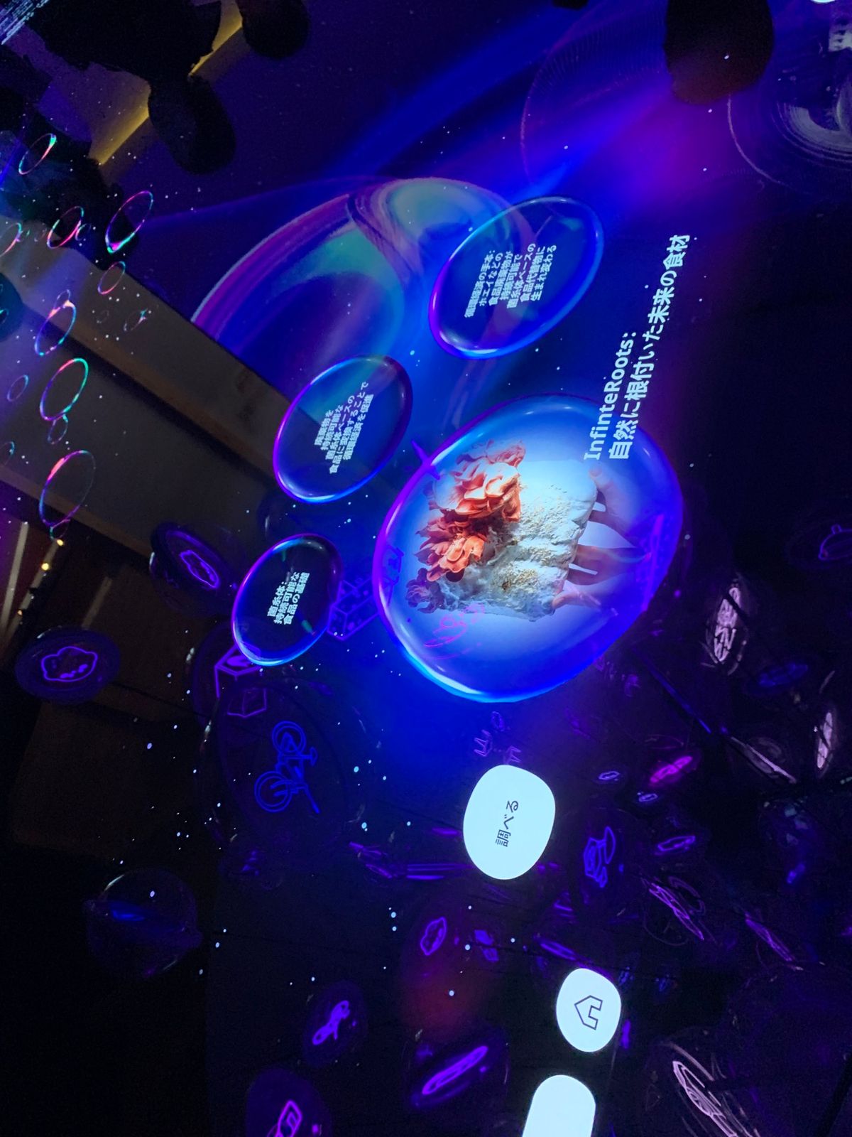 ドイツ🇩🇪パビリオン