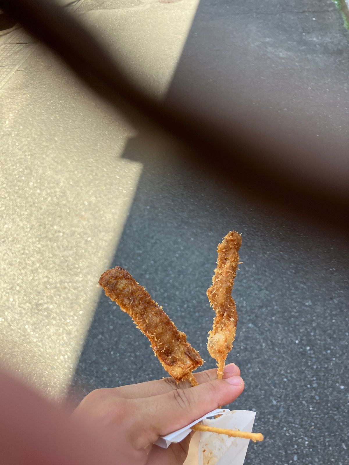 冨岡製糸場part2
駅に戻る途中のホルモン揚げ