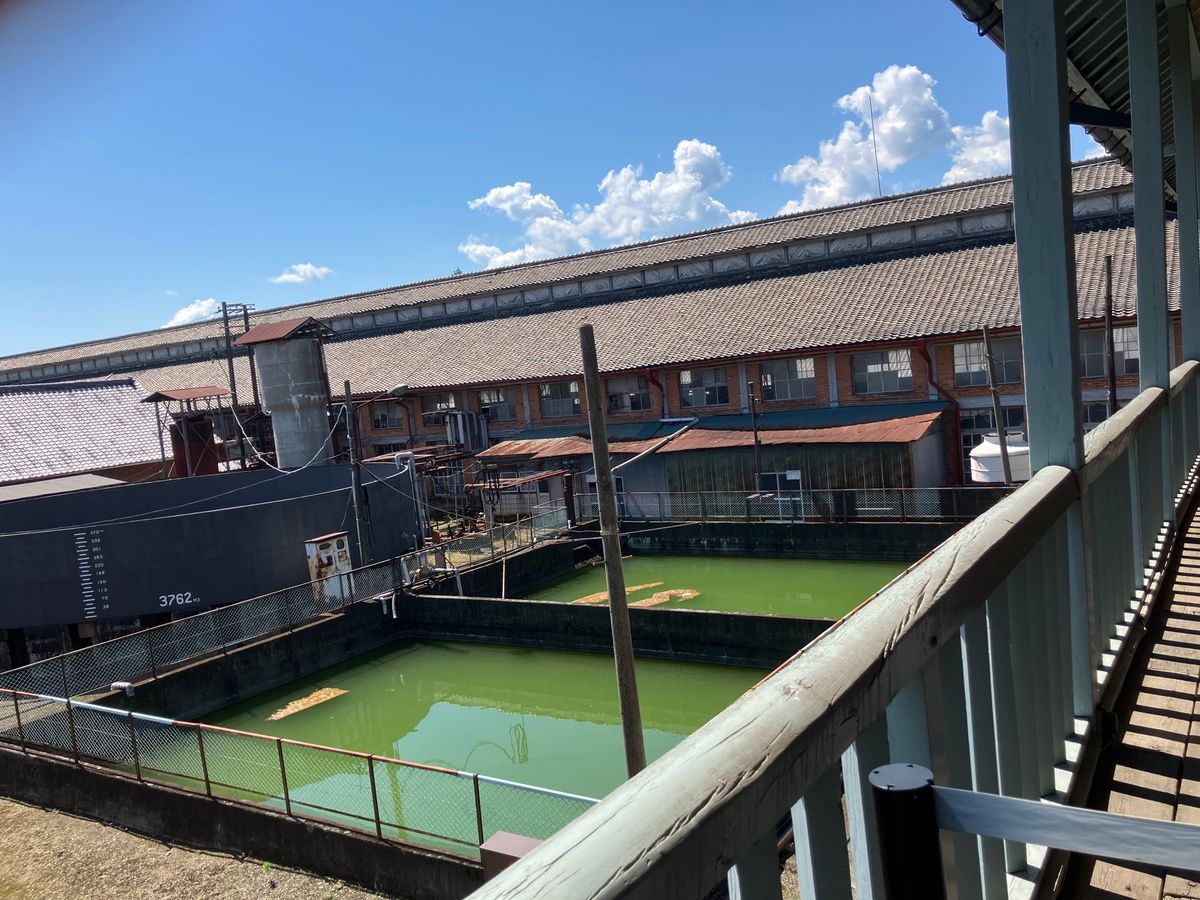 冨岡製糸場part2
駅に戻る途中のホルモン揚げ