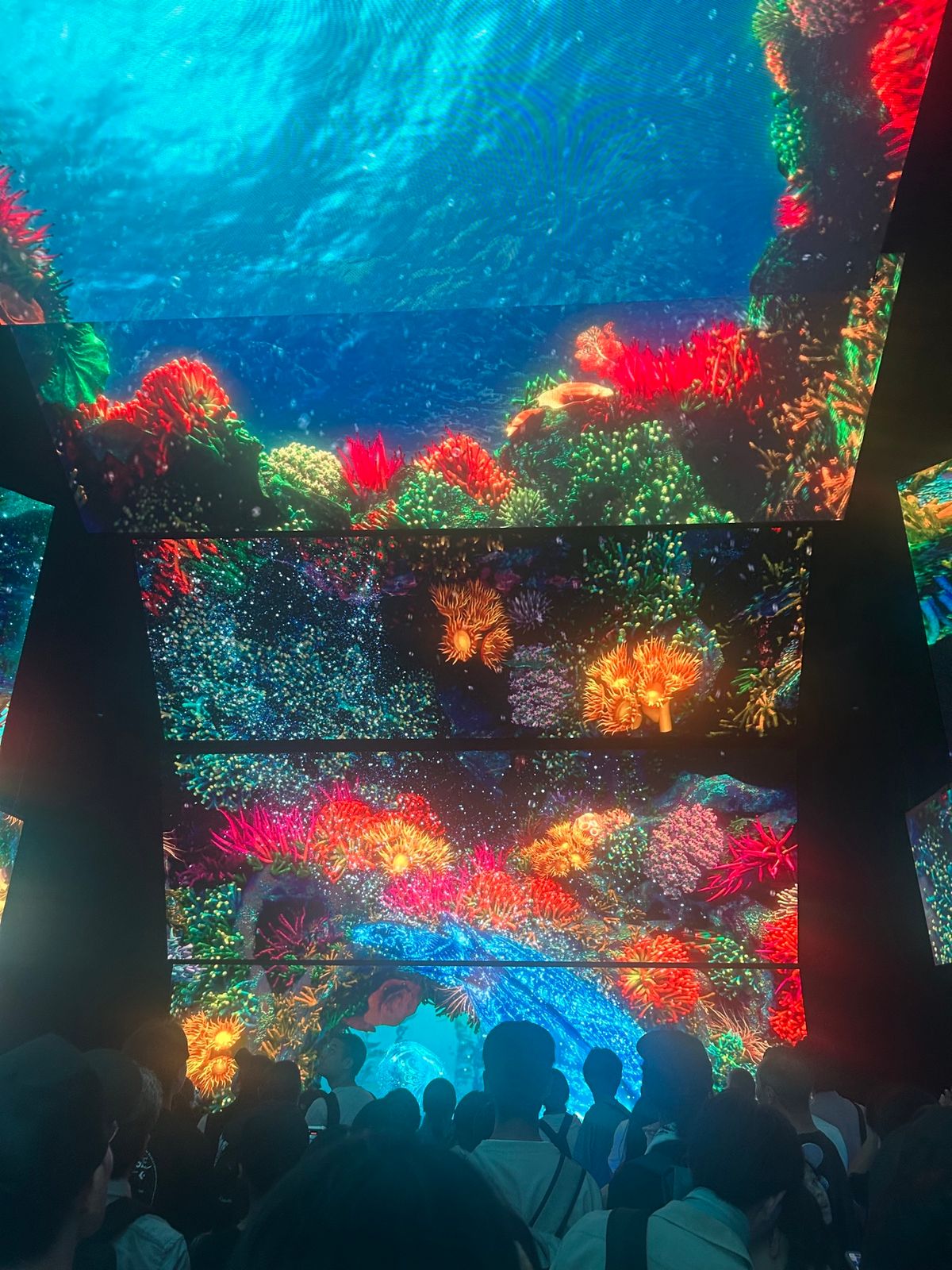 オーストラリアパビリオン