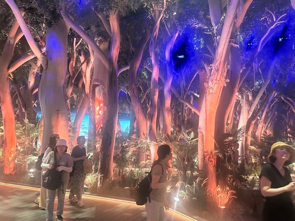 日本・大阪府「大阪🌏EXPO2025」の写真：オーストラリアパビリオン