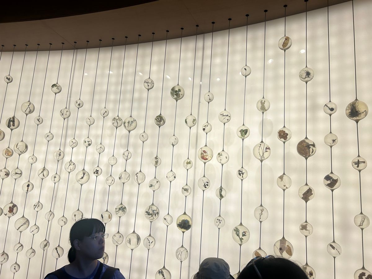 ポーランドパビリオン