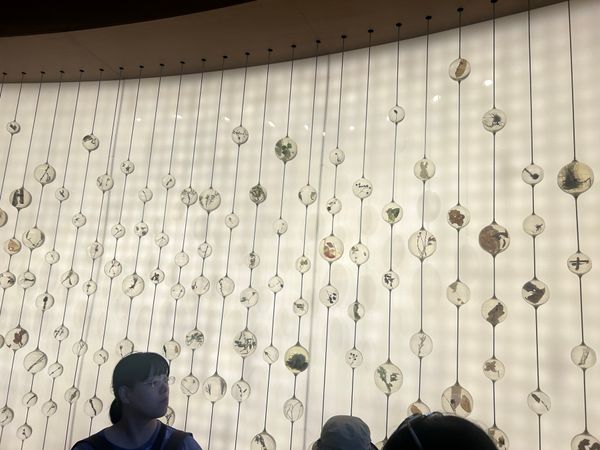 日本・大阪府「大阪🌏EXPO2025」の写真：ポーランドパビリオン