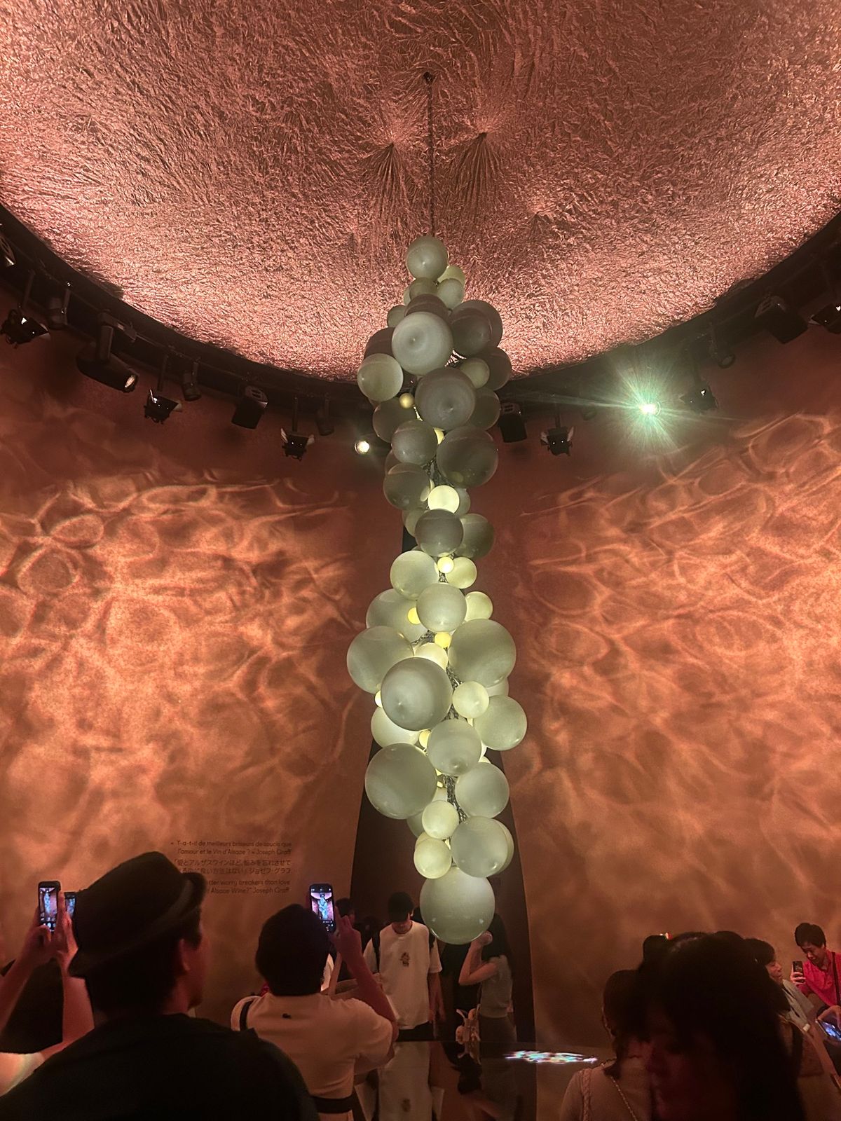 フランスパビリオン①