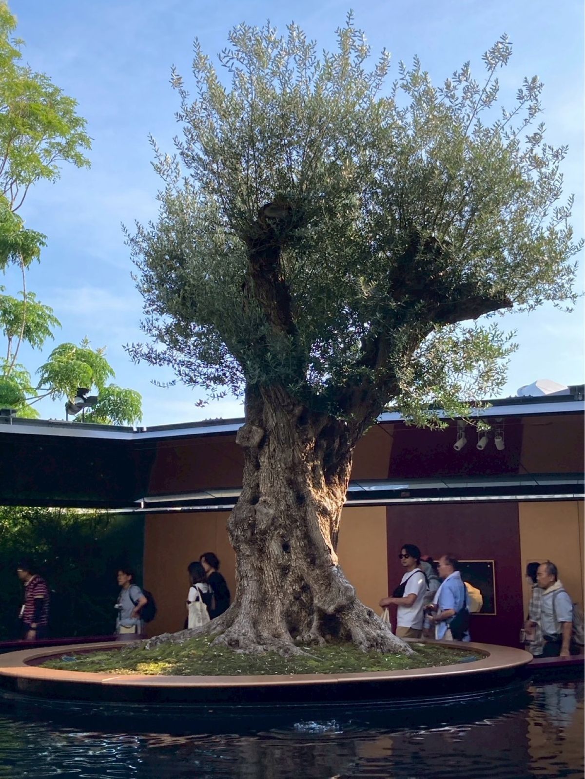 フランスパビリオン②