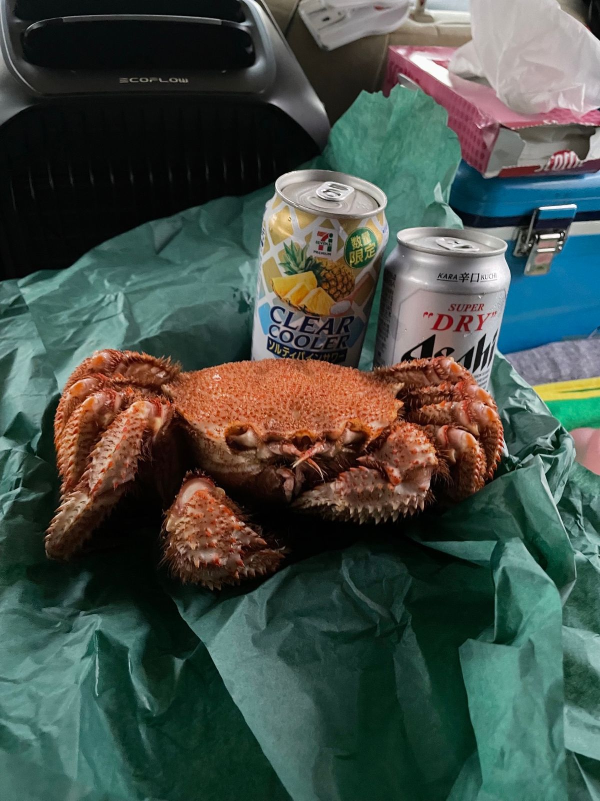 道の駅ウトナイ湖から長万部のカニ飯を食べて函館へ。トラピスト修道院を見学し...