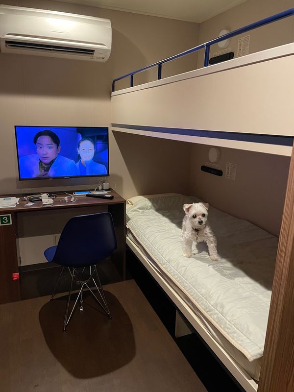 日本・北海道「サンフラワーフェリーで北海道の旅」の写真：またまたサンフラワーフェリーで大洗から苫...