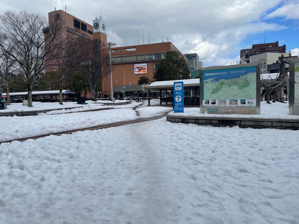 地面が極めて危険な日⚠️