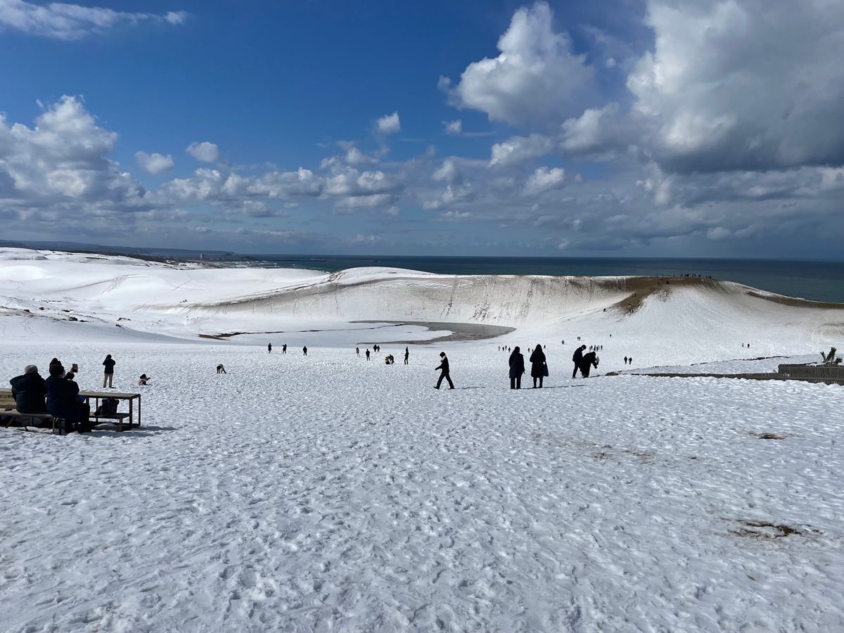 地面が極めて危険な日⚠️