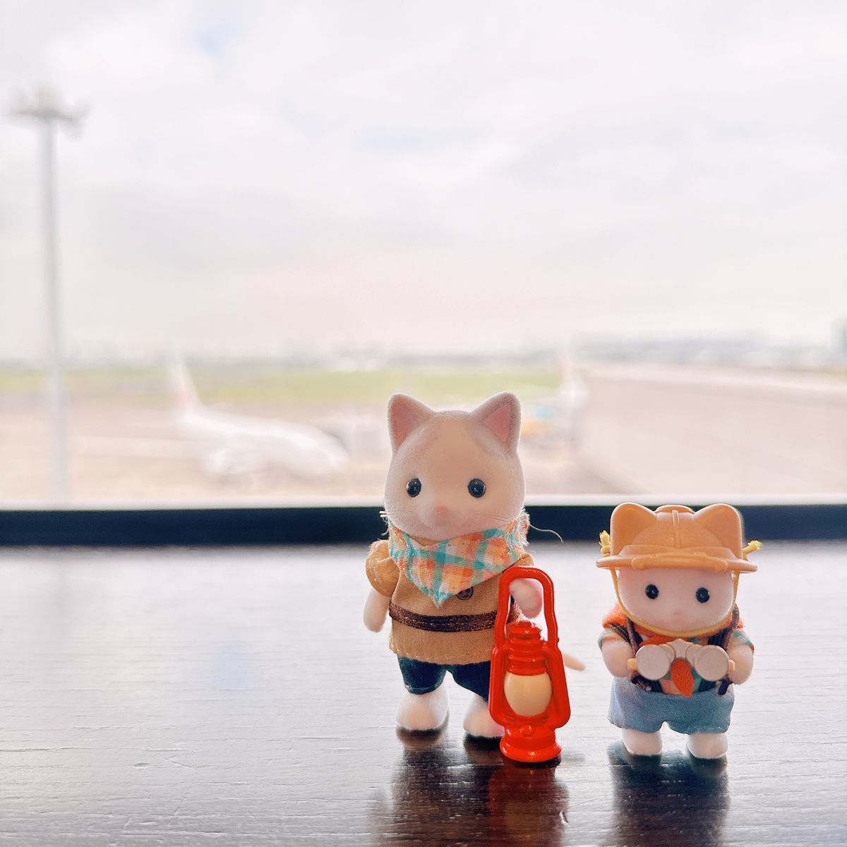 6月13日
羽田空港 又こい家
★★★★☆

羽田空港から出発するときはい...