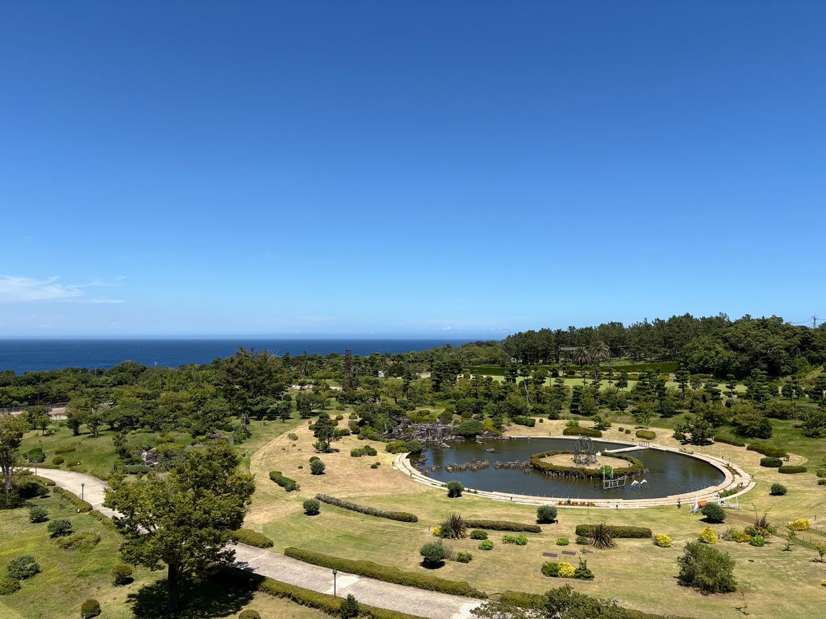 ダイビング後は近くの食堂でよしくんはカレー、私は海鮮丼を食べる
エクシブに...