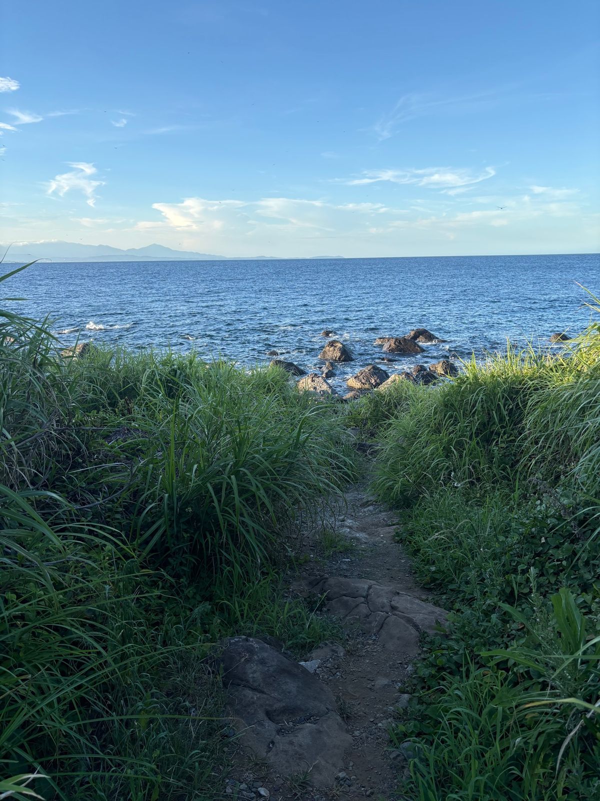 お部屋でお昼寝してから（講義始まる時間にお互い起きた笑）ABCashの講義...