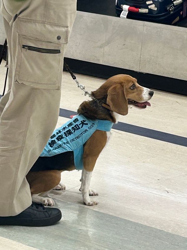 香港「魂の洗濯 香港旅」の写真