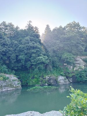 滞在時間30分꜆꜄꜆
日帰り旅行にもならない。
でもいつもと違う道、景色。...