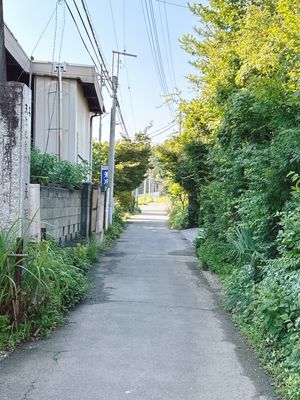 滞在時間30分꜆꜄꜆
日帰り旅行にもならない。
でもいつもと違う道、景色。...