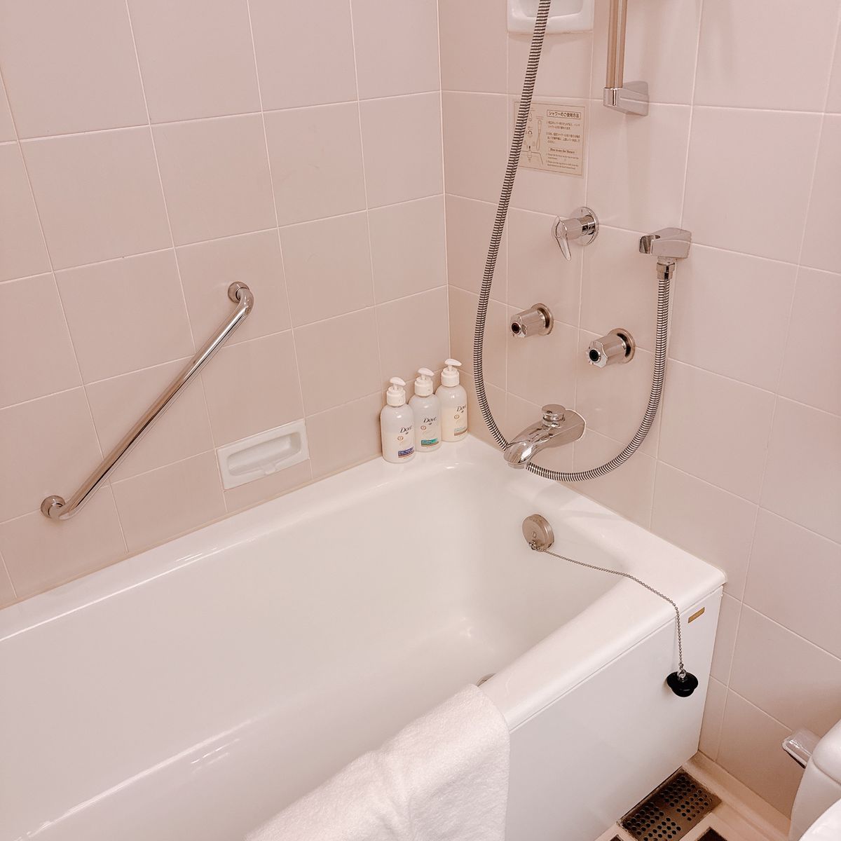 ANA Holiday inn 東京ベイ

ホテル載せ忘れ･･2泊ともこち...