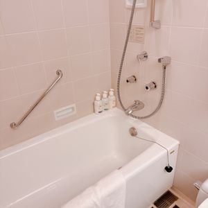 ANA Holiday inn 東京ベイ

ホテル載せ忘れ･･2泊ともこち...