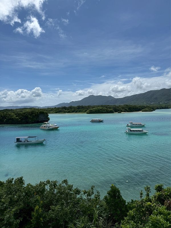 日本・竹富島「石垣島旅行」の写真