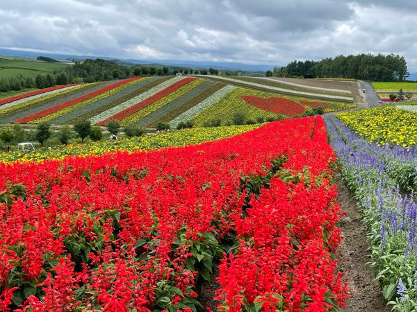 日本・北海道「北海道旅行」の写真
