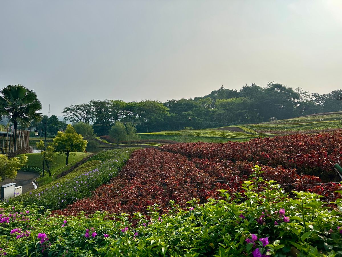 翌朝はヴィラのプライベートプールでひと泳ぎして帰路へ。

ドライバー、ヘル...