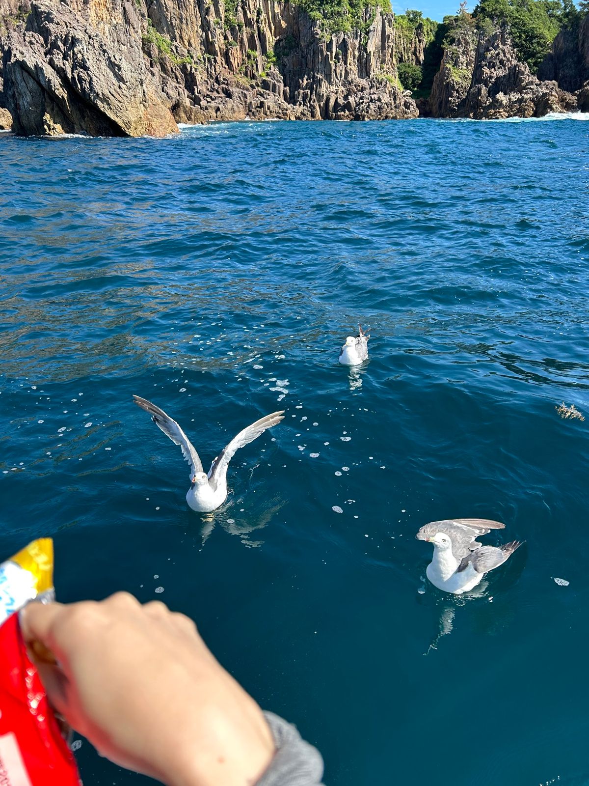 尖閣湾クルーズ