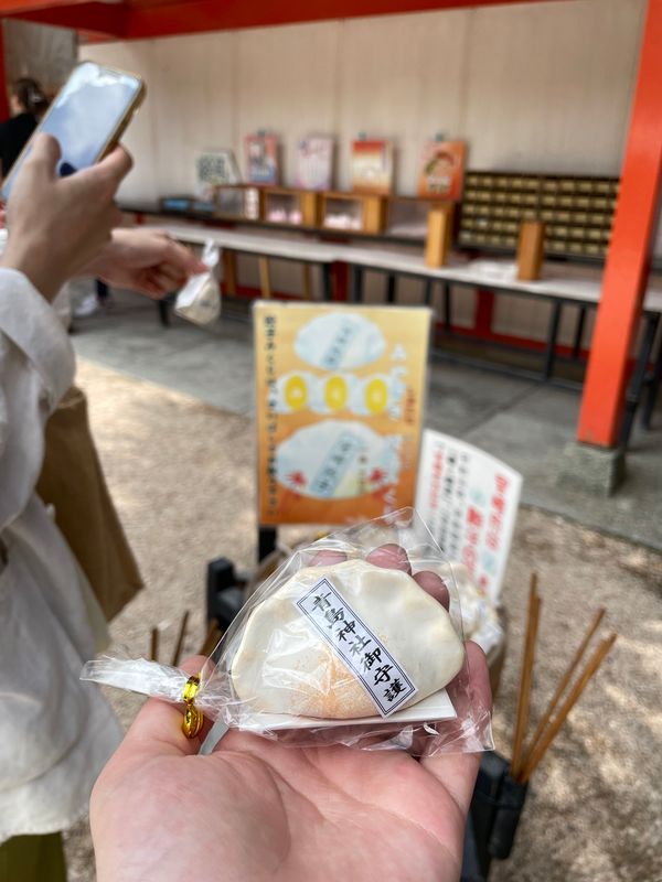 日本・宮崎県「miyazaki🌴」の写真