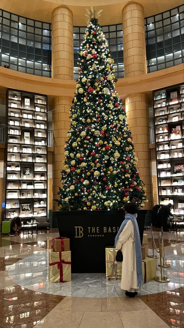 日本・福岡県「福岡ホカンス②🦭」の写真