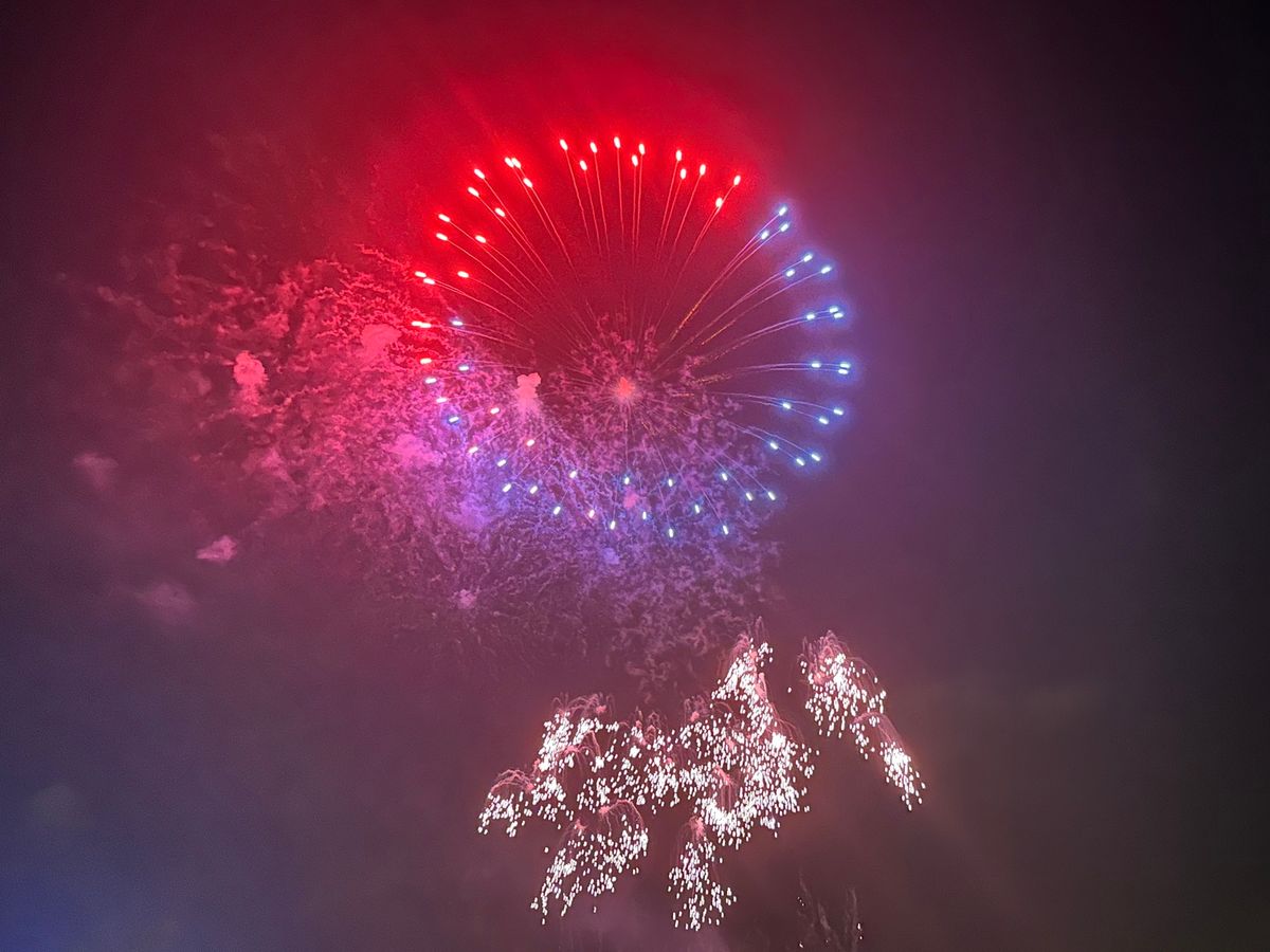 ムーミン80th、ムーミンの日