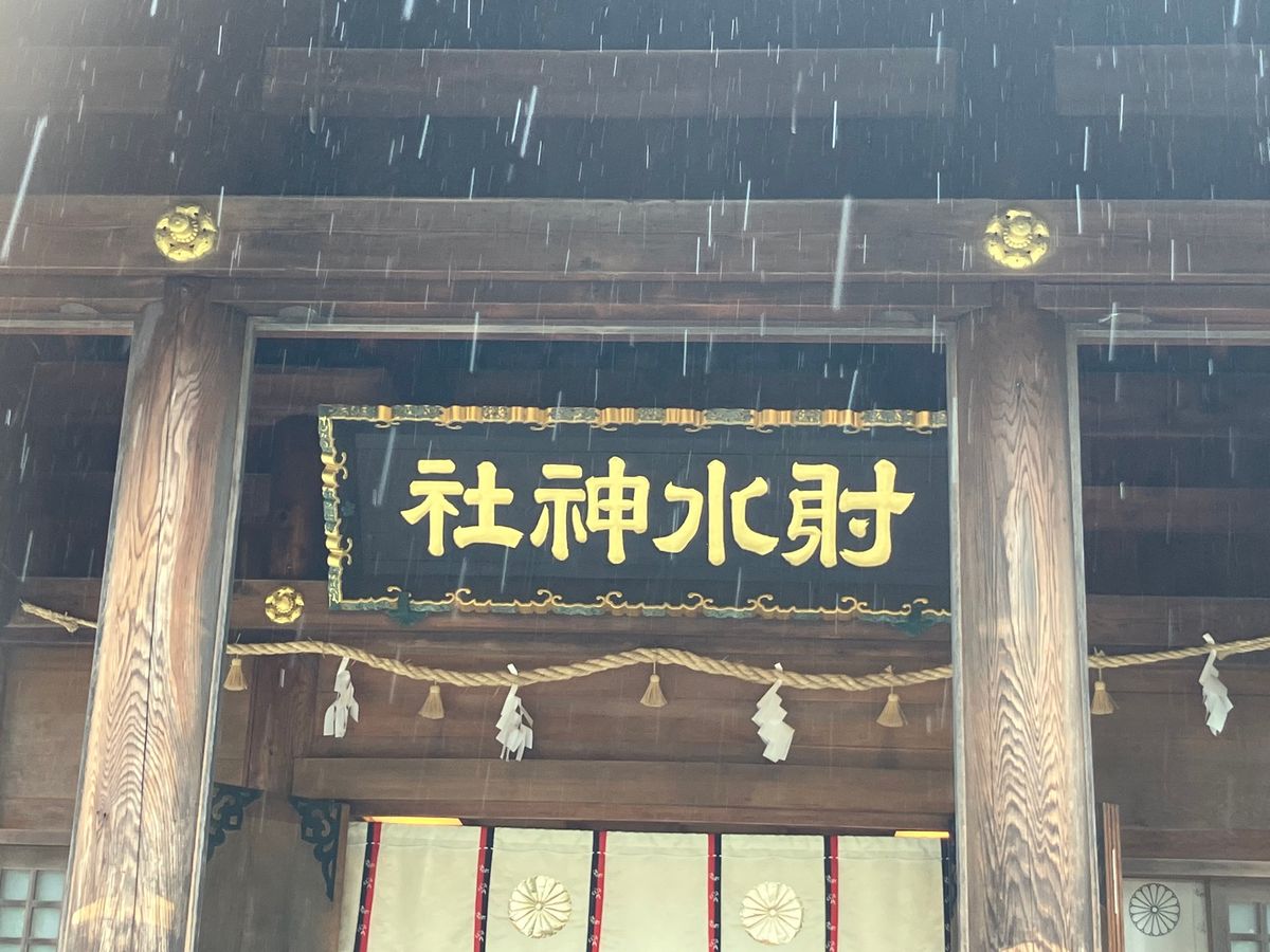 雨晴海岸から立山は見えず。雨天のため電車の中から日本海を鑑賞