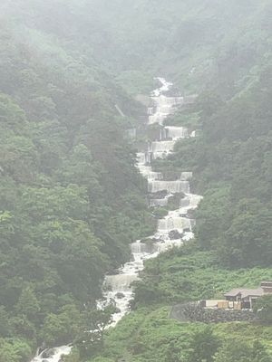 当日でもトロッコ列車乗れた。
雨天で水は濁っているけど、迫力がすごい